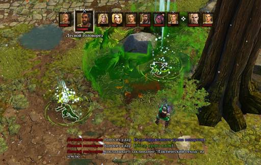 Divinity: Original Sin - «Divinity Original Sin» - «Divinity: Original Sin Enhanced Edition»: в споре рождается истина.